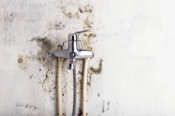 Water Damage Restoration in Nescopeck, PA