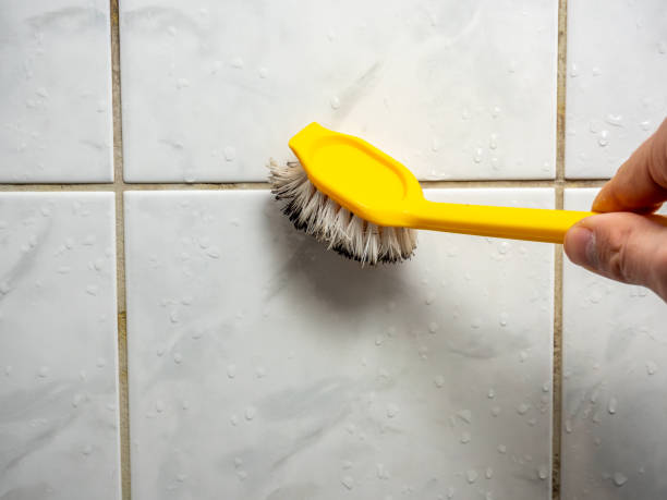 Best Affordable Mold Removal  in Nescopeck, PA