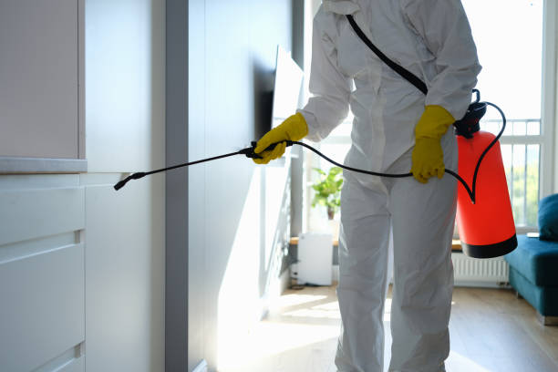 Mold Removal and Inspection in Nescopeck, PA