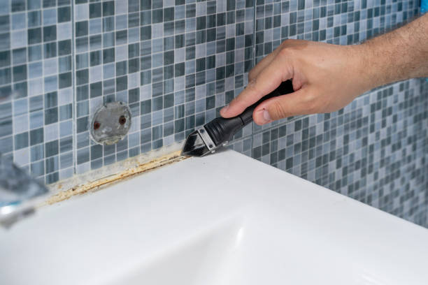 Best Emergency Mold Removal  in Nescopeck, PA