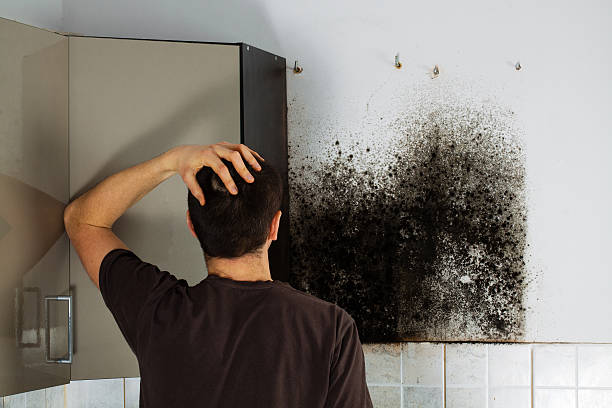 Best Crawl Space Mold Removal  in Nescopeck, PA